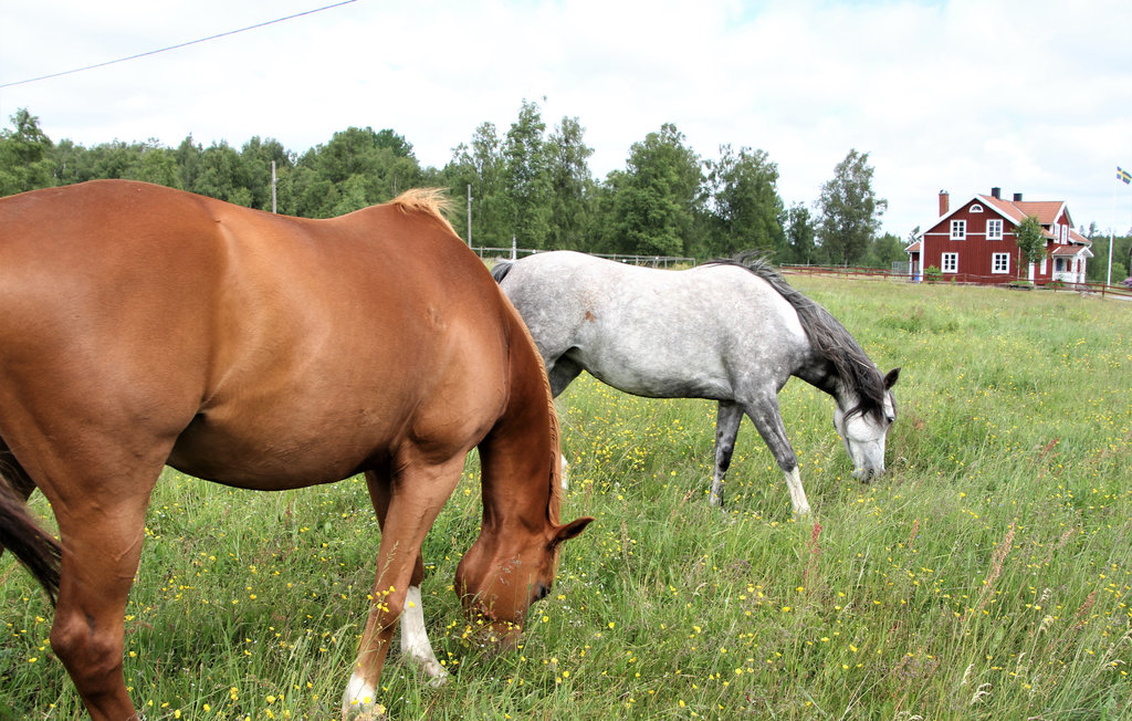 Semesterhus - Växjö , Sverige - S25386 8