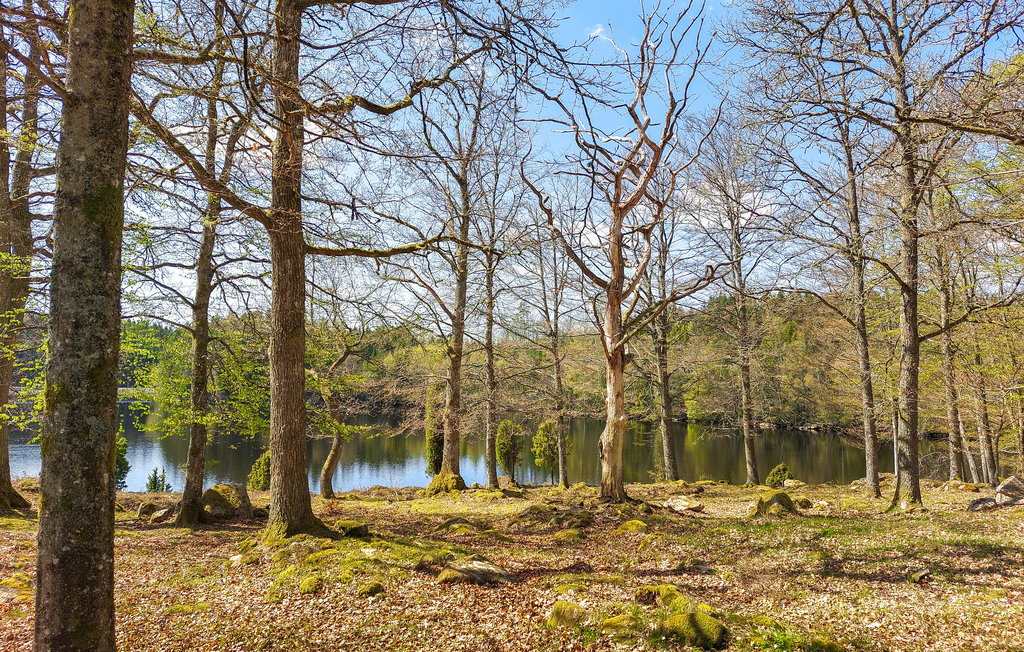 Ferienhaus - Norra Århult/Markaryd , Schweden - S25417 28