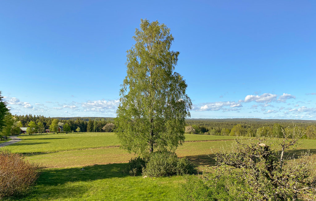 Feriehuse - Alvesta - Småland , Sverige - S25441 11