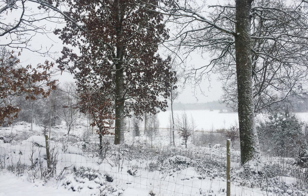 Ferienhaus - Hjortseryd/Lidhult , Schweden - S25376 20