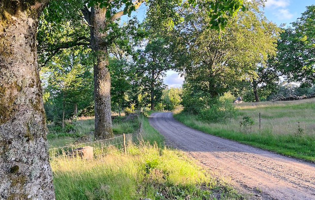 Ferienhaus - Hjortseryd/Lidhult , Schweden - S25376 46