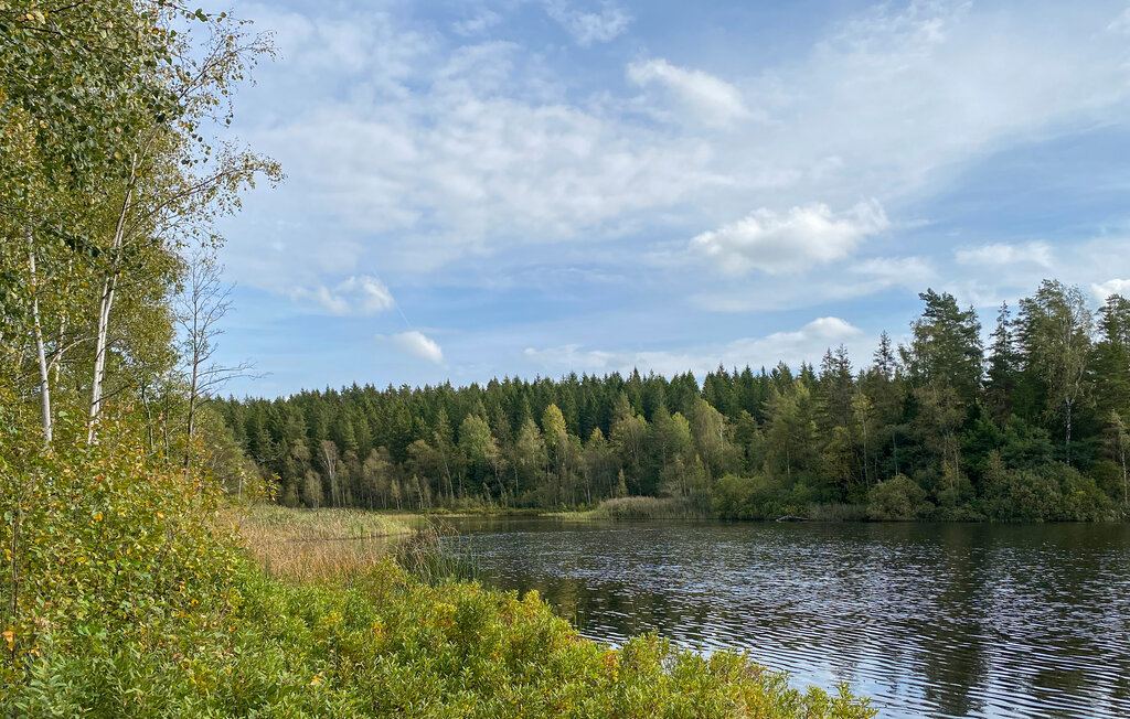 Feriehus - Tingsryd , Sverige - S25453 21