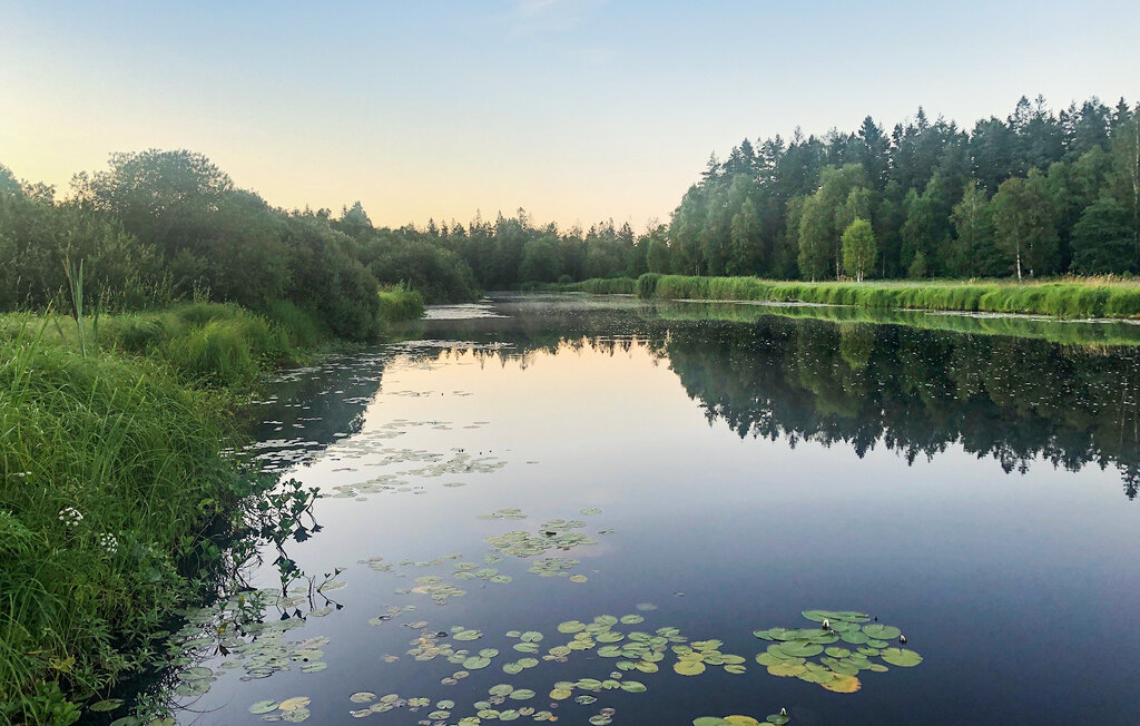 Ferienhaus - Älmhult/Hallaryd , Schweden - S25424 26