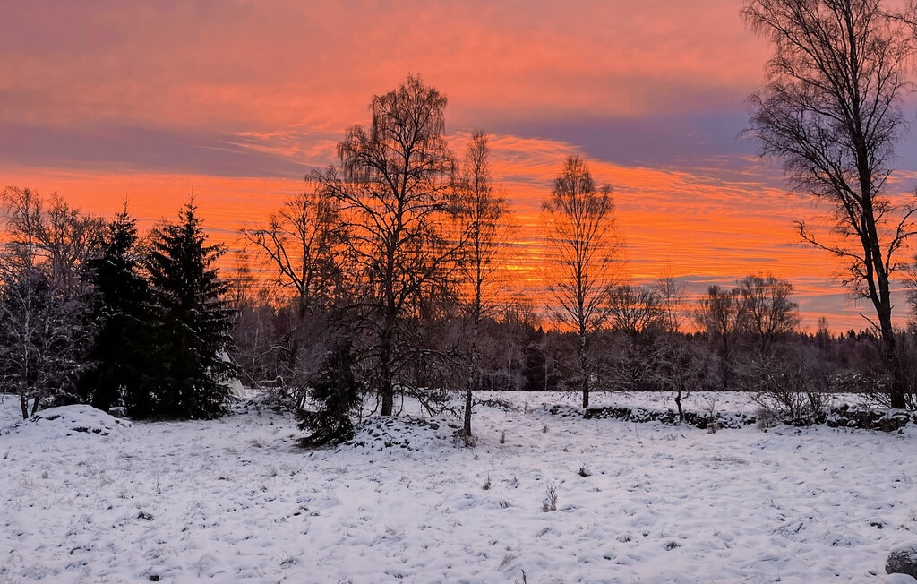 Ferienhaus - Älmhult/Hallaryd , Schweden - S25424 28