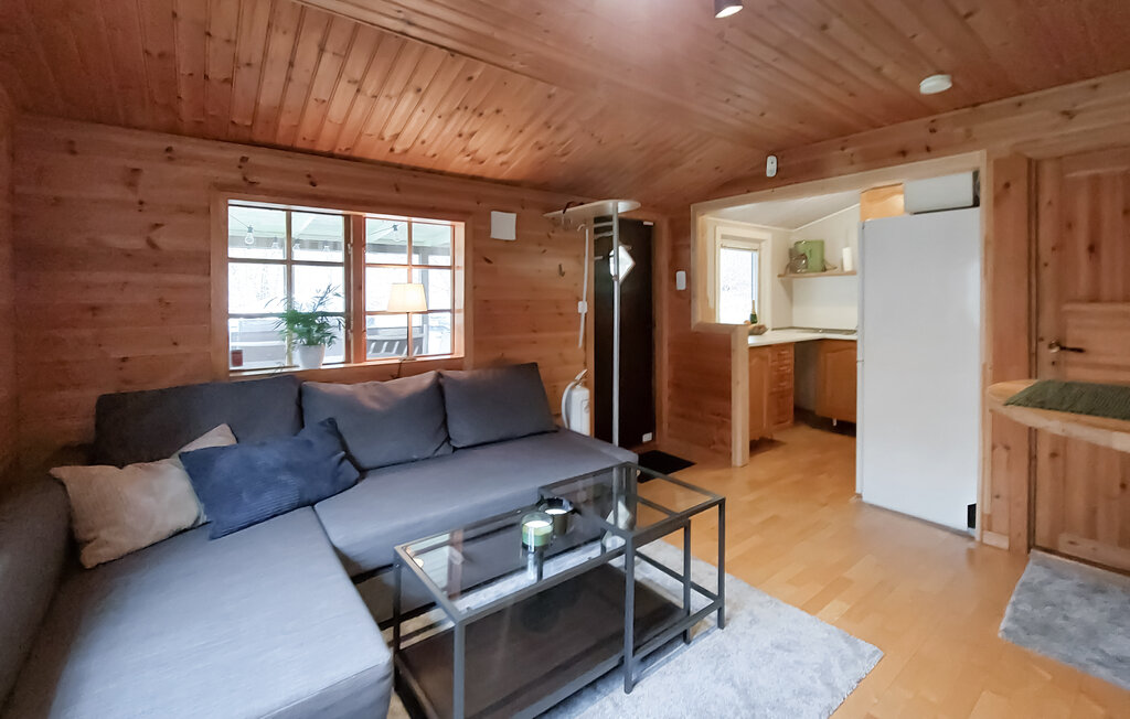 Ferienhaus - Bolmen/Ljungby , Schweden - S25474 4