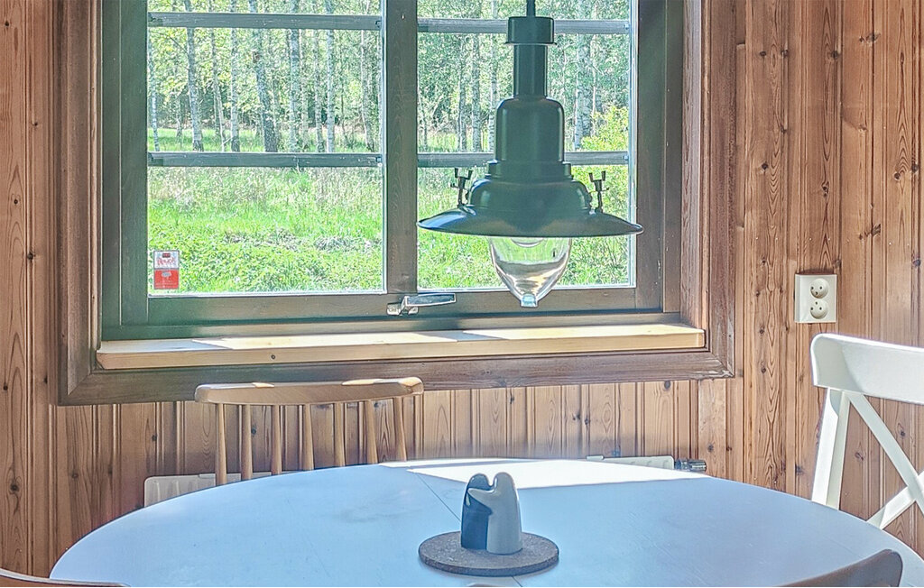 Ferienhaus - Lenhovda/Uppvidinge , Schweden - S25456 6