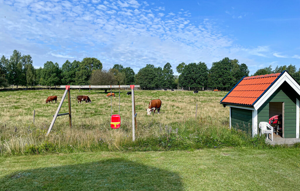 Domy wakacyjne - Vittaryd/Ljungby , Szwecja - S25494 13