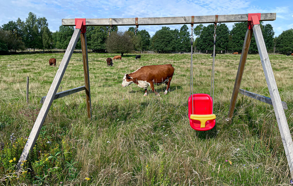 Domy wakacyjne - Vittaryd/Ljungby , Szwecja - S25494 14