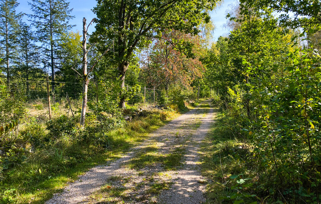 Kuća-za-odmor - Ekholmen Kråksjö , Švedska - S25509 15