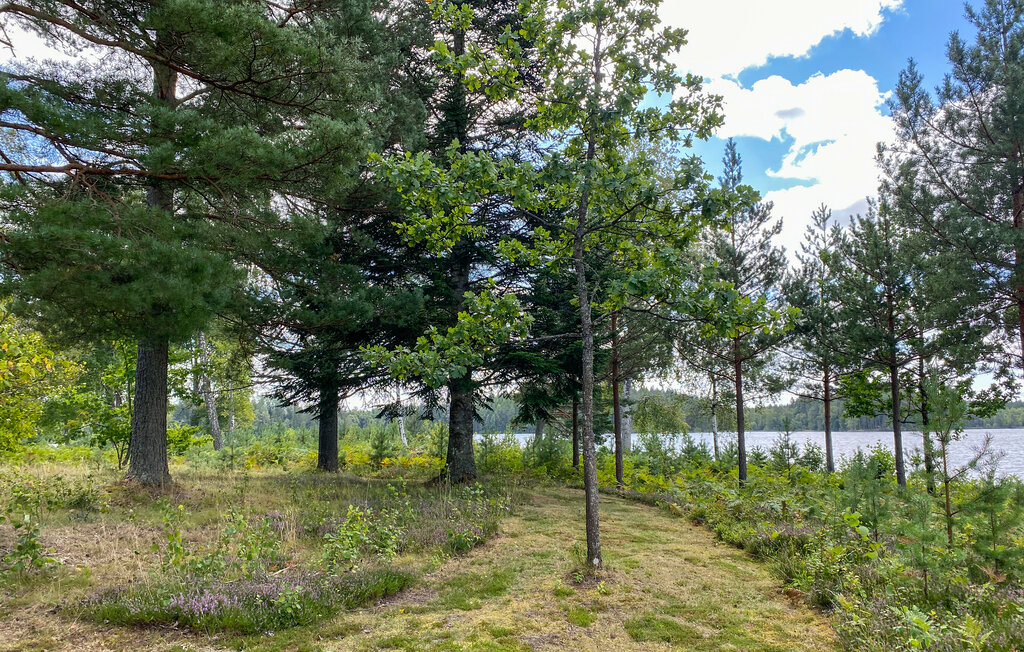 Feriehus - Högsby/Vetlanda/Virserum , Sverige - S25531 14