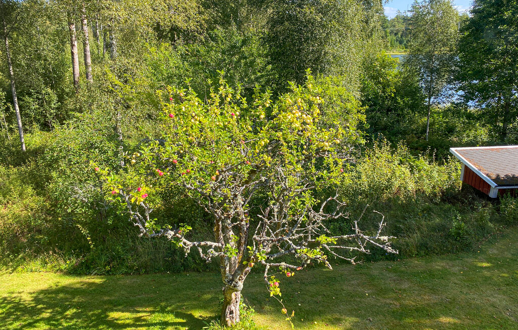 Feriehus - Högsby/Vetlanda/Virserum , Sverige - S25531 15