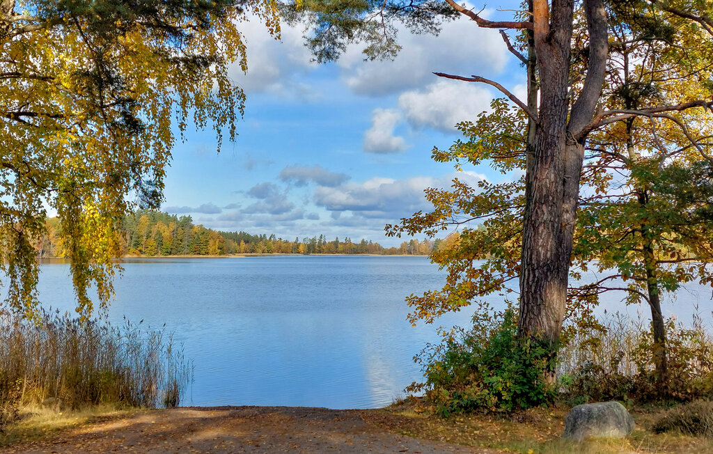 Domy wakacyjne - Bolmsö/Ljungby , Szwecja - S25480 16