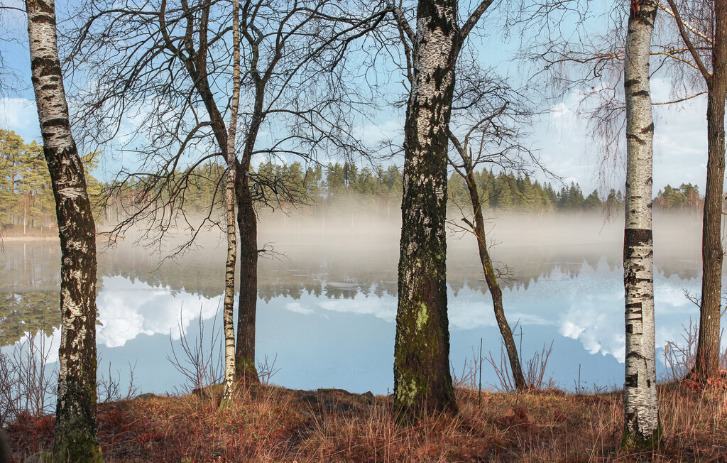 Feriehuse - Strömsnäsbruk/Markaryd , Sverige - S25489 9