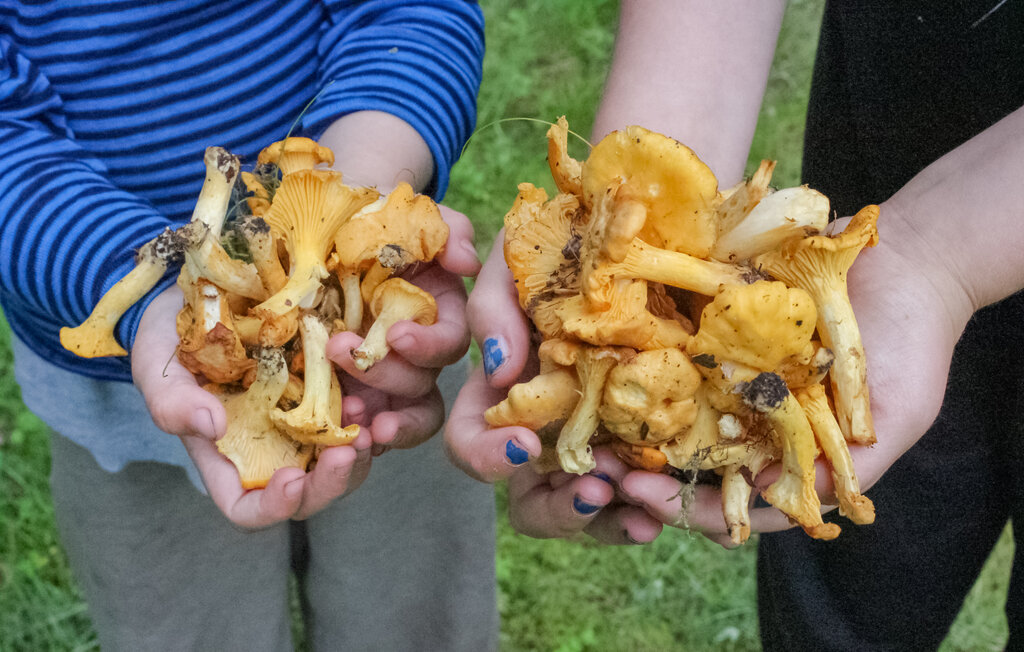 Feriehuse - Strömsnäsbruk/Markaryd , Sverige - S25489 12