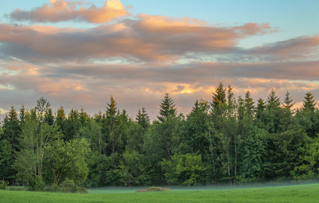Feriehuse - Strömsnäsbruk/Markaryd , Sverige - S25489 13