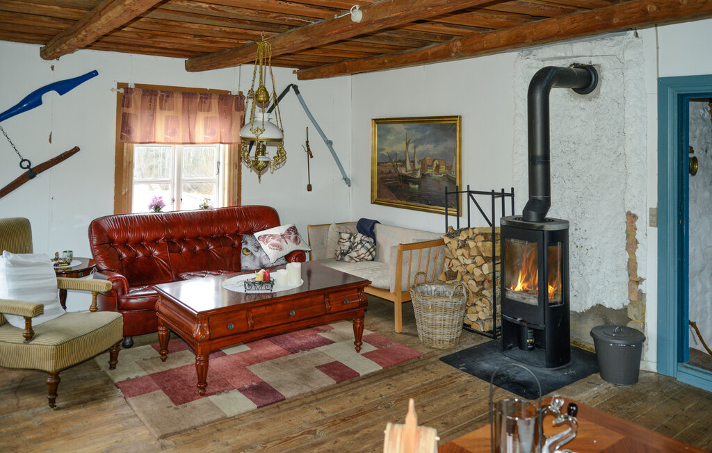 Domy wakacyjne - Tingsryd Urshult , Szwecja - S25536 4