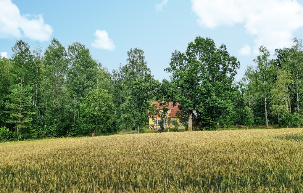 Ferienhaeuser - Tingsryd , Schweden - S25537 10