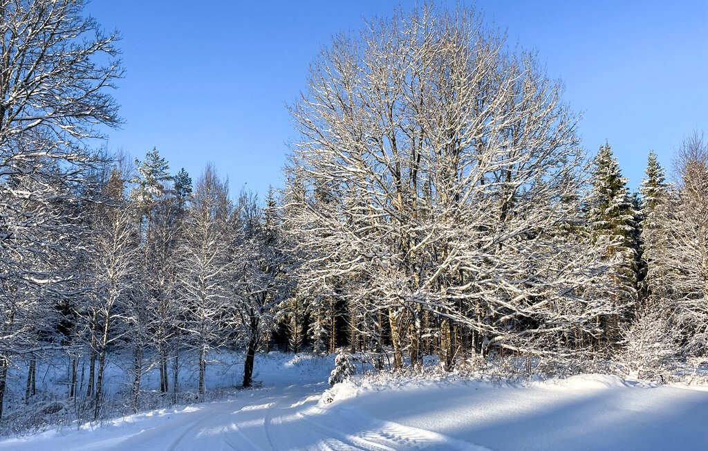 Feriehus - Vislanda , Sverige - S25115 7