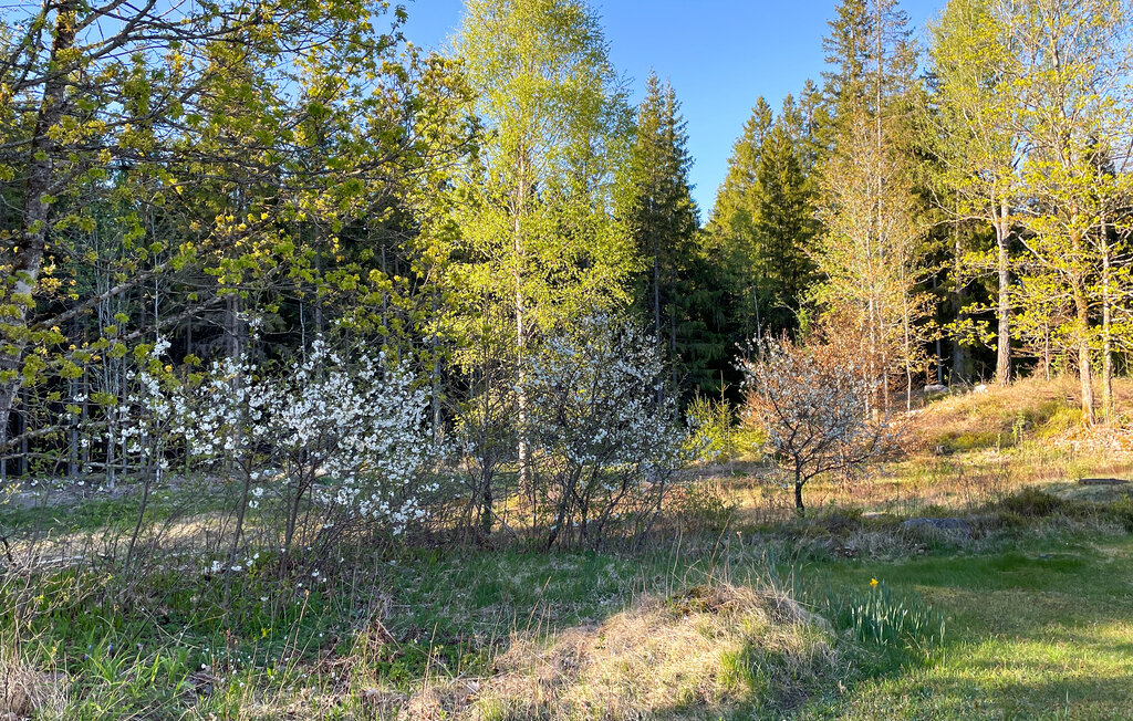 Feriehus - Vislanda , Sverige - S25115 11