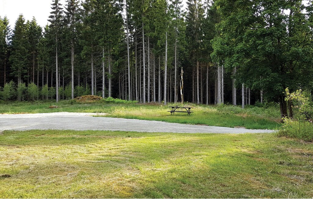 Feriehus - Vislanda , Sverige - S25115 8