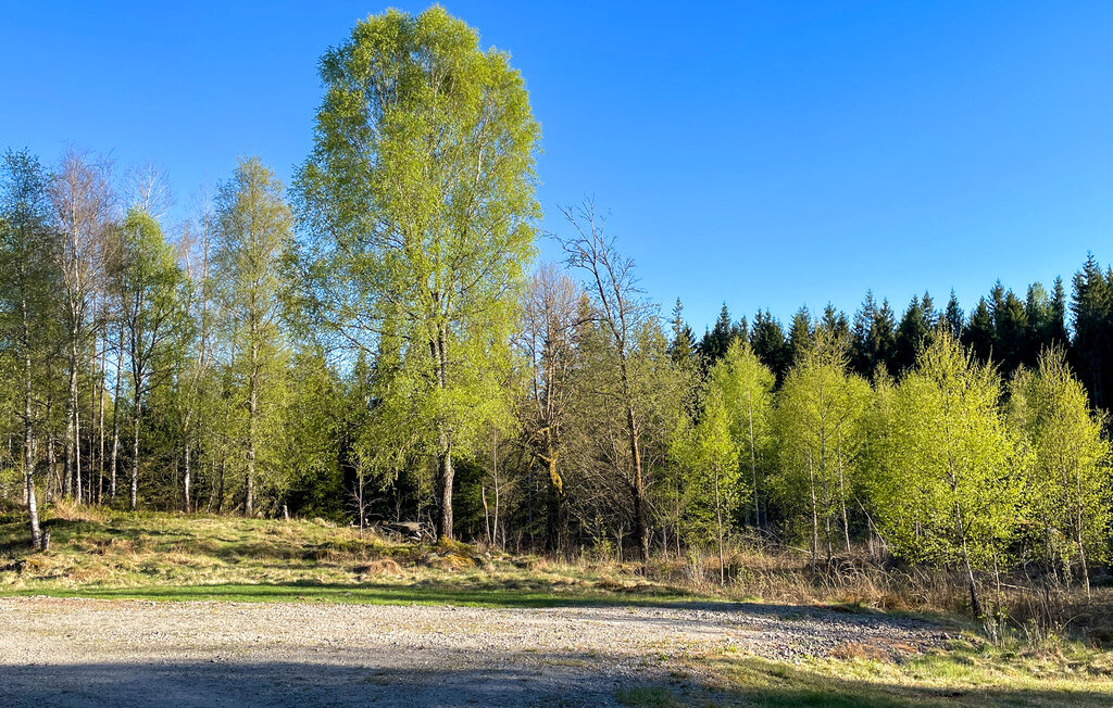 Feriehus - Vislanda , Sverige - S25115 12