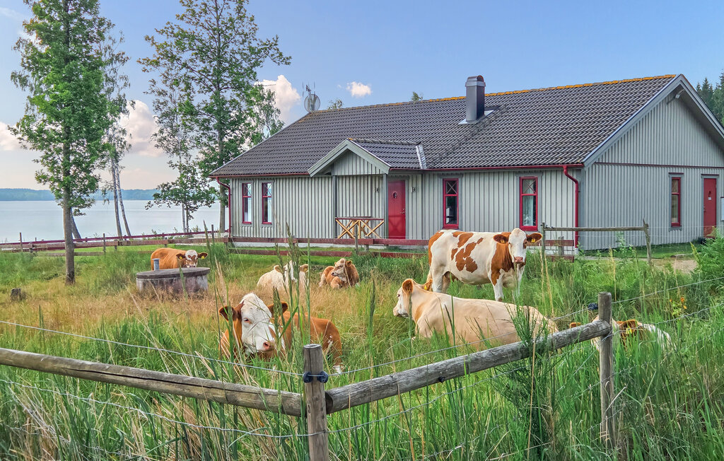 Stuga i Vittaryd, 8 bäddar – bild 4 av 5