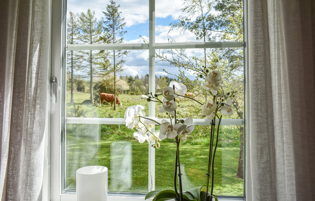 Feriehus - Gränna , Sverige - S30270 15