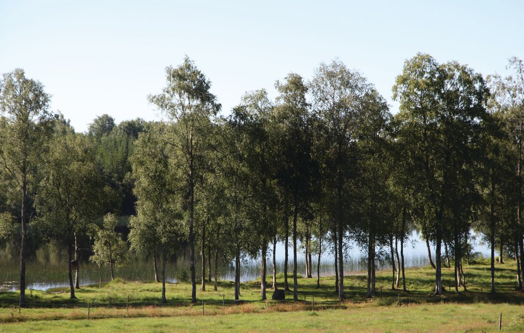 Feriehus - Sjöåkra/Vaggeryd , Sverige - S30098 3