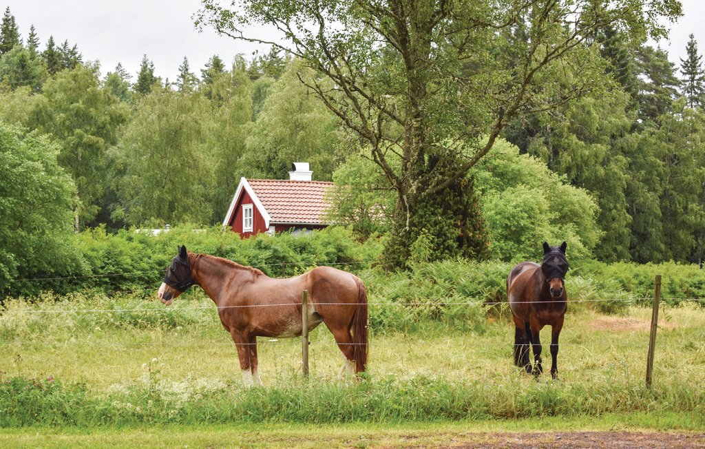 Semesterhus - Nässjö , Sverige - S30236 5
