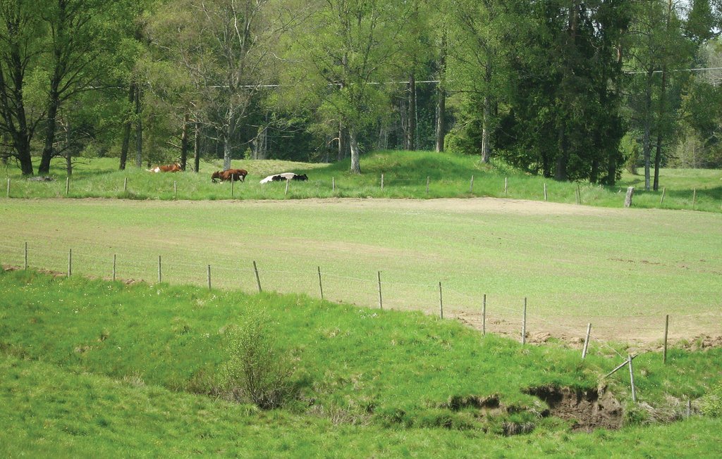 Feriehus - Skeppshult/Nissan , Sverige - S30036 16