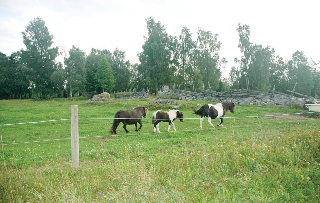 Ferienhaus - Mullsjö , Schweden - S30198 5