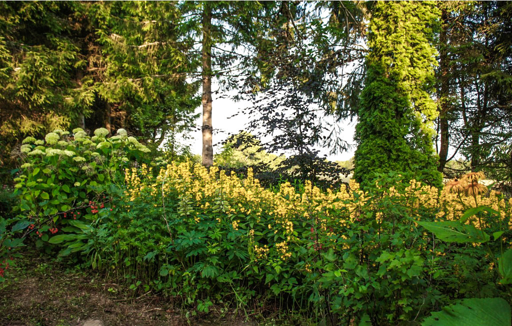 Feriehus - Sävsjö , Sverige - S30017 12