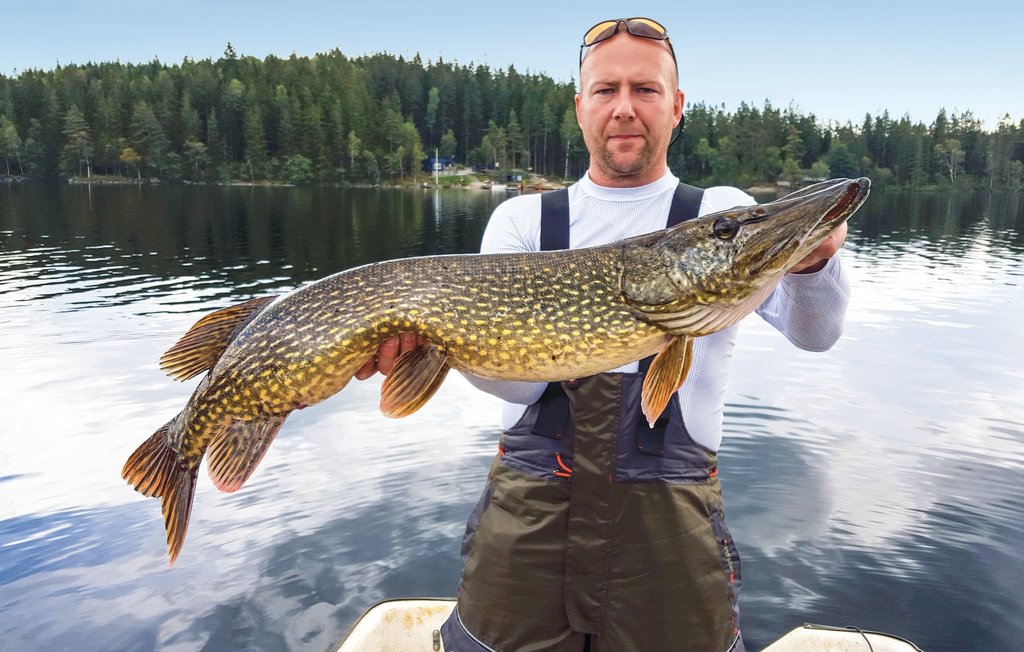 Ferienhaus - Gislaved , Schweden - S30259 22