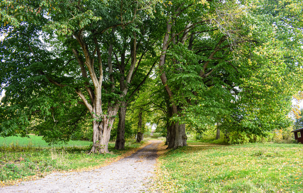 Ferienhaus - Tranås , Schweden - S30353 11