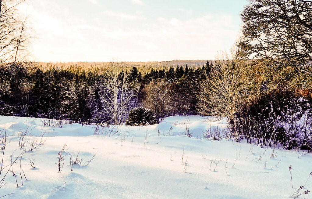 Ferienhaus - Bottnaryd Jönköping , Schweden - S30441 11