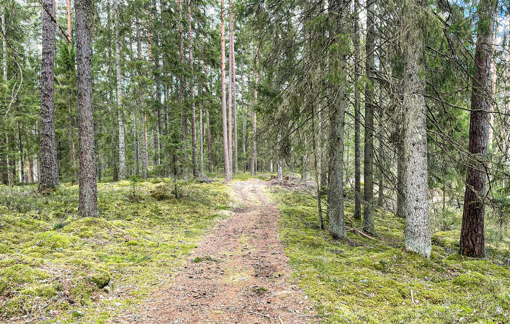 Ferienhaus - Åsenhöga/Gnosjö , Schweden - S30344 27