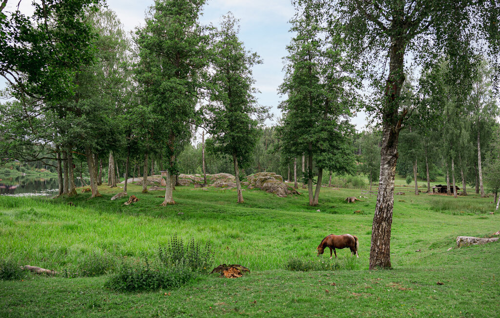 Ferieleilighet - Vetlanda Eksjö , Sverige - S30481 39