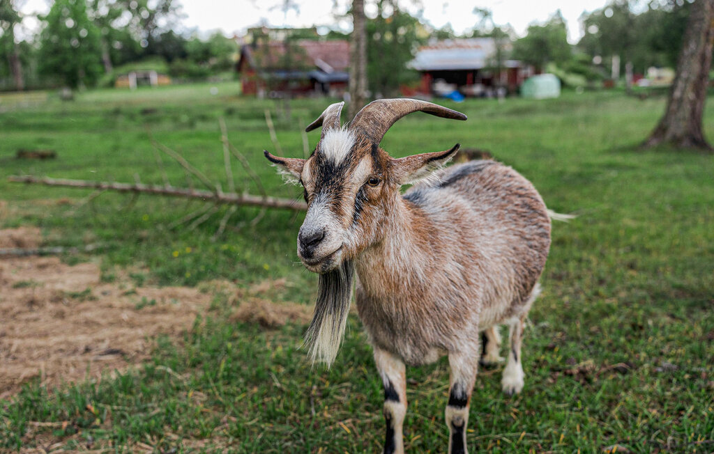Ferieleilighet - Vetlanda Eksjö , Sverige - S30481 40