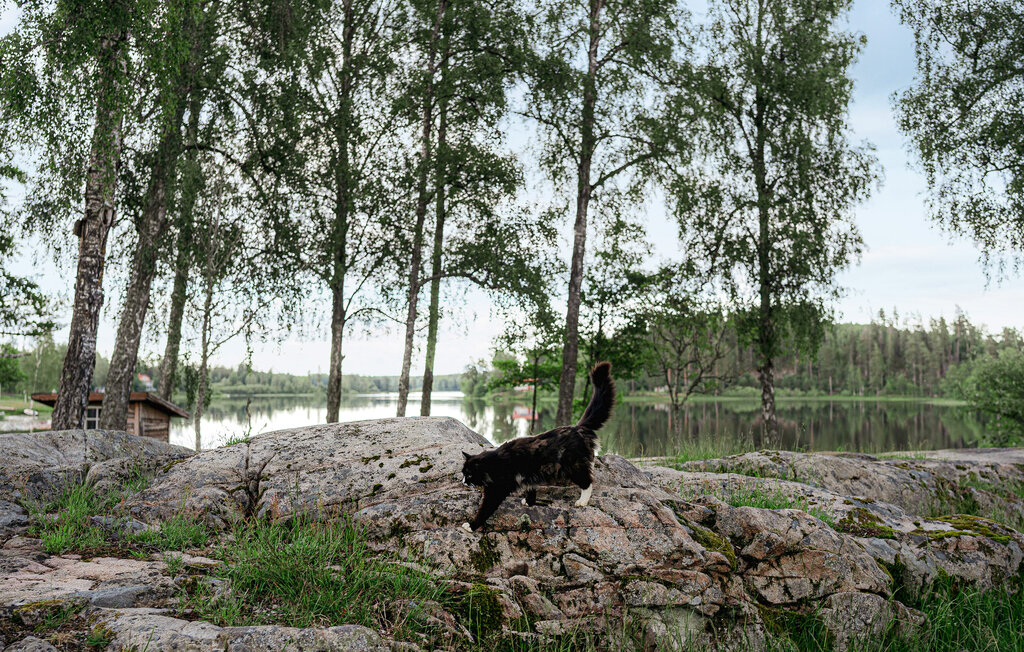 Ferieleilighet - Vetlanda Eksjö , Sverige - S30481 41