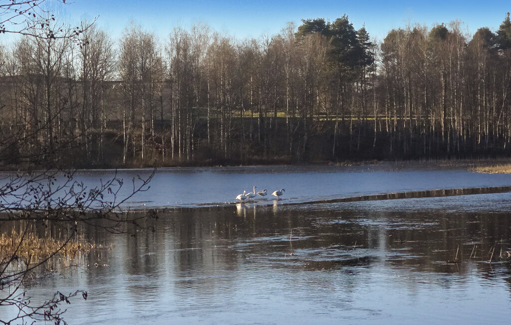 Semesterlägenhet - Rörvik/Sävsjö/Lammhult , Sverige - S30510 8