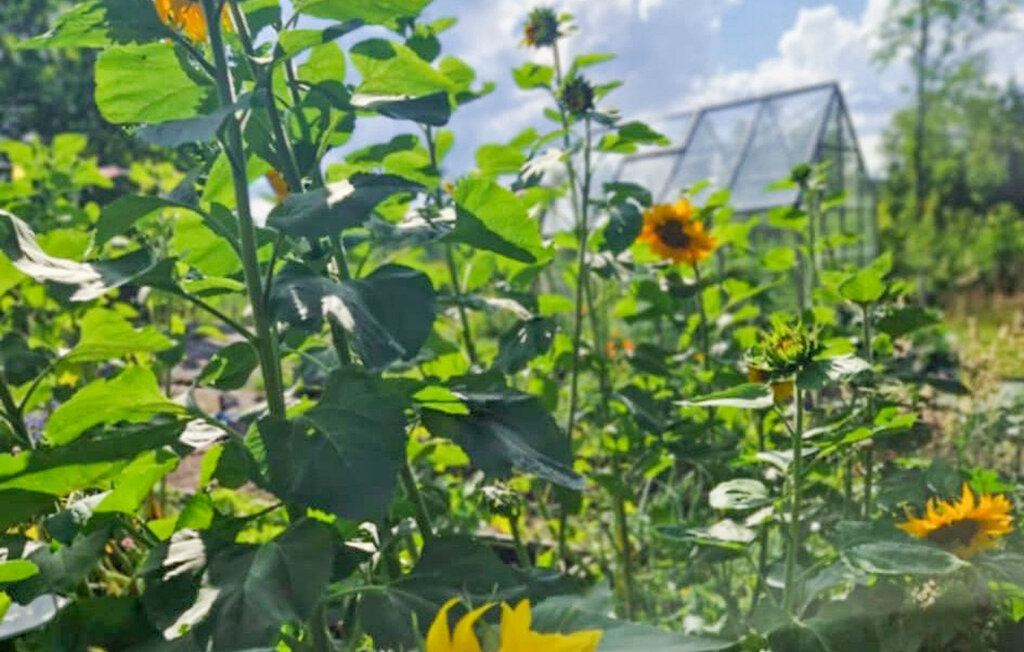 Location de vacances - Bor/Värnamo , Suède - S30473 13