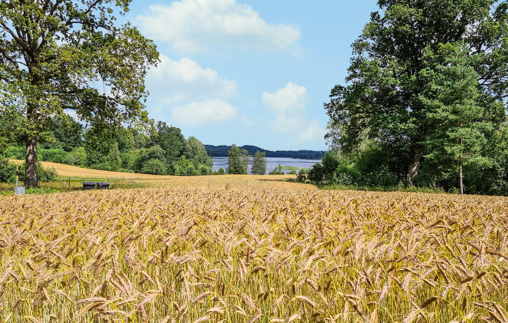 Stuga i Broaryd, 4 bäddar – bild 2 av 5