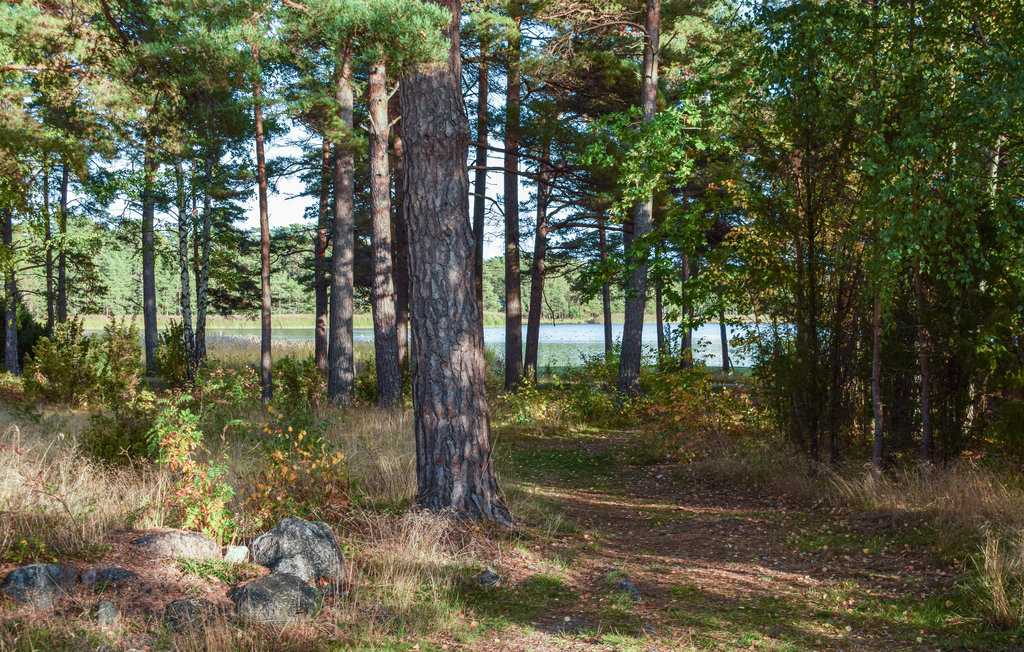 Feriehus - Mönsterås , Sverige - S35338 2