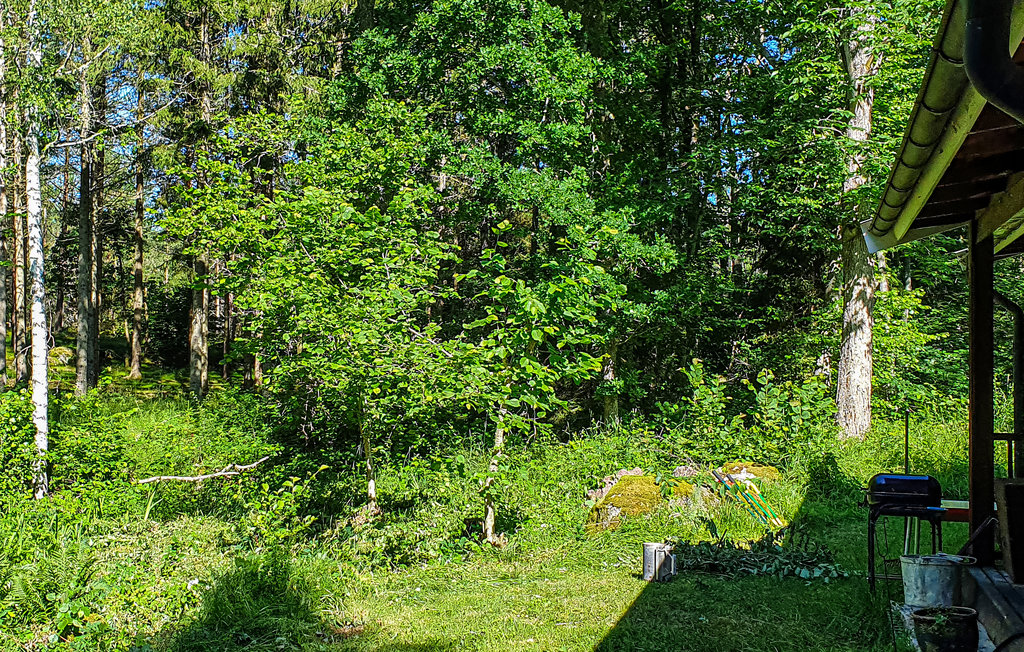 Ferienhaus - Loftahammar , Schweden - S35424 2