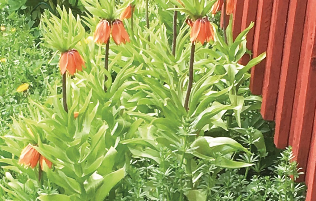 Feriehus - Virserum , Sverige - S35234 6