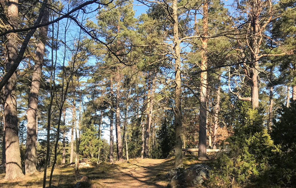 Ferienhaus - Mönsterås/Oknö , Schweden - S35565 16