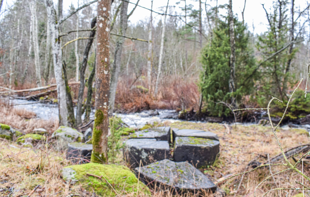 Feriehus - Vassmolösa , Sverige - S35379 5