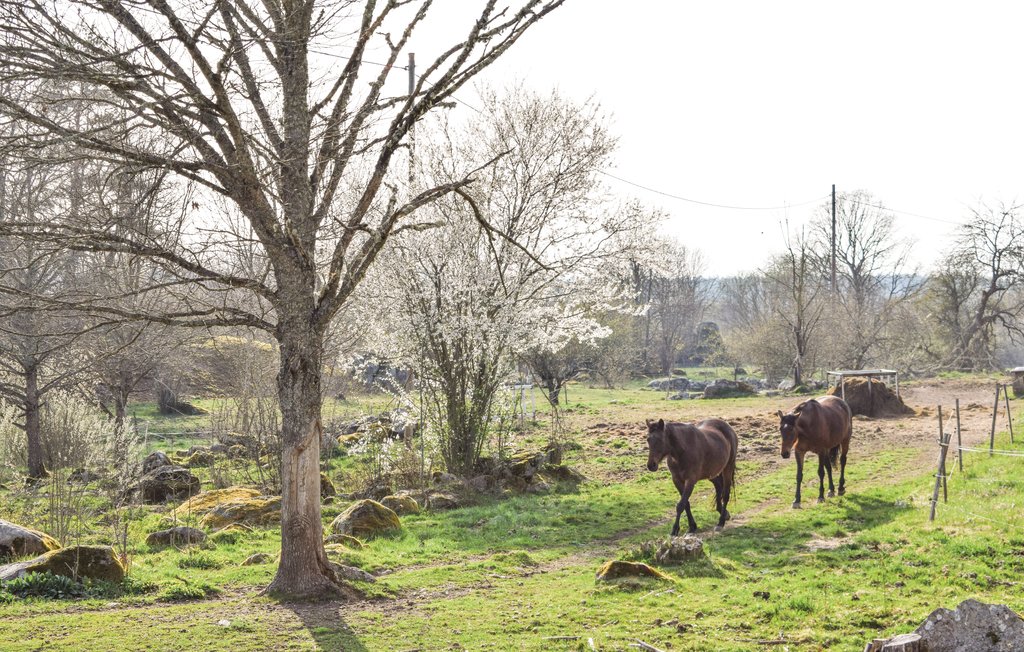 Ferienhaus - Ankarsrum , Schweden - S35168 15