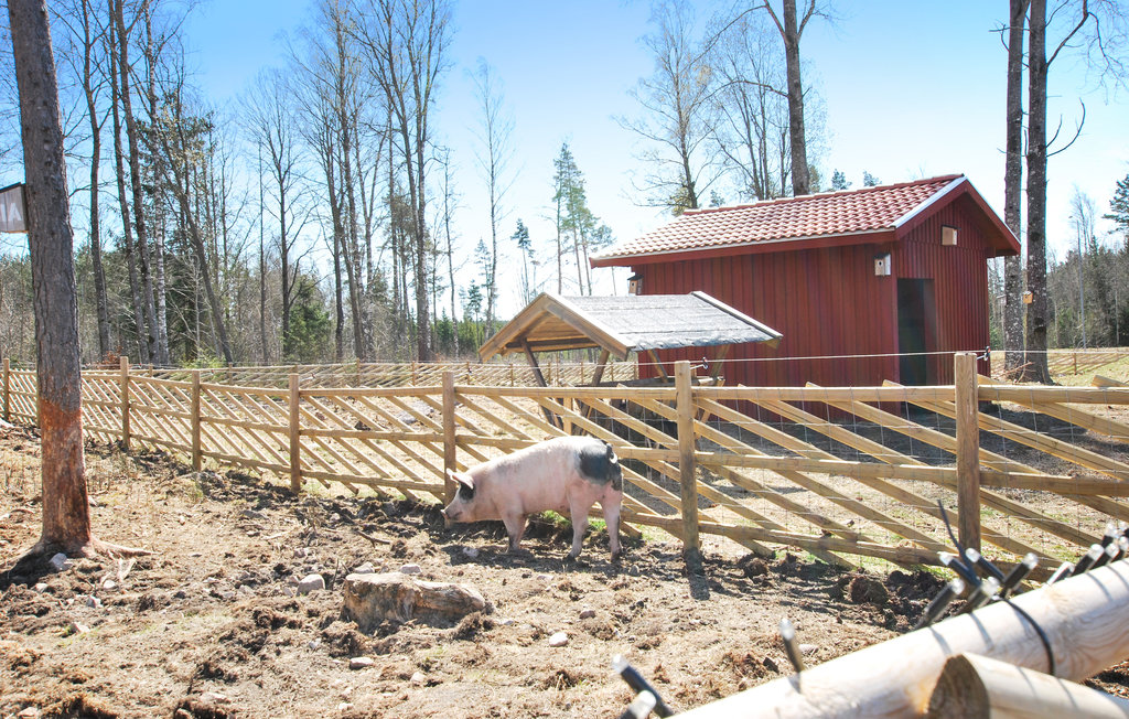 Ferienhaus - Kosta Lodge , Schweden - S35348 20