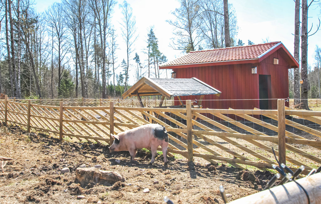 Feriehus - Kosta Lodge , Sverige - S35347 21